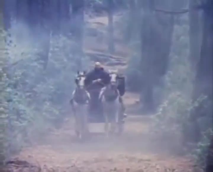 Extrait vidéo du film  Le Manoir de la folie