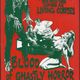photo du film Blood of Ghastly Horror