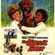 photo du film The Biscuit Eater
