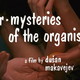 photo du film W.R. - Misterije organizma