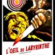 photo du film L'Oeil du labyrinthe