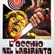 photo du film L'Oeil du labyrinthe