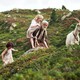 photo du film Heidi