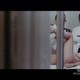 photo du film Il Merlo maschio