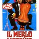 photo du film Il Merlo maschio