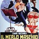 photo du film Il Merlo maschio