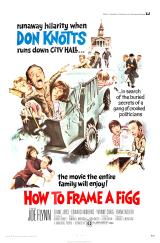 How To Frame A Figg