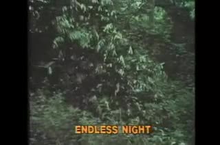 Extrait vidéo du film  Endless Night