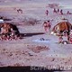 photo du film Violence et sexe aux temps préhistoriques
