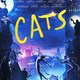 photo du film Cats
