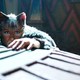 photo du film Cats