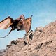 photo du film Quand les dinosaures dominaient le monde
