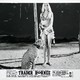 photo du film Trader Hornee