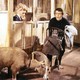 photo du film Carry On Camping