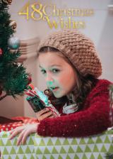 voir la fiche complète du film : 48 vœux de noël