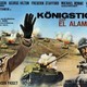 photo du film La Battaglia di El Alamein