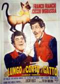 voir la fiche complète du film : Il lungo, il corto, il gatto