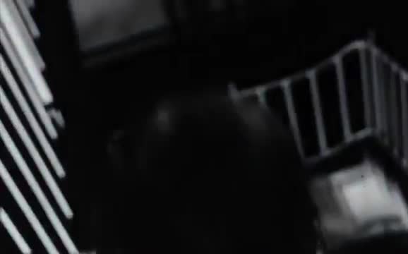 Extrait vidéo du film  Le château des chiens hurlants