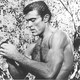 photo du film Tarzan and the Valley of Gold
