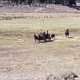 photo du film Le ranch maudit