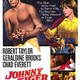 photo du film Johnny Tiger