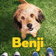 photo du film Benji