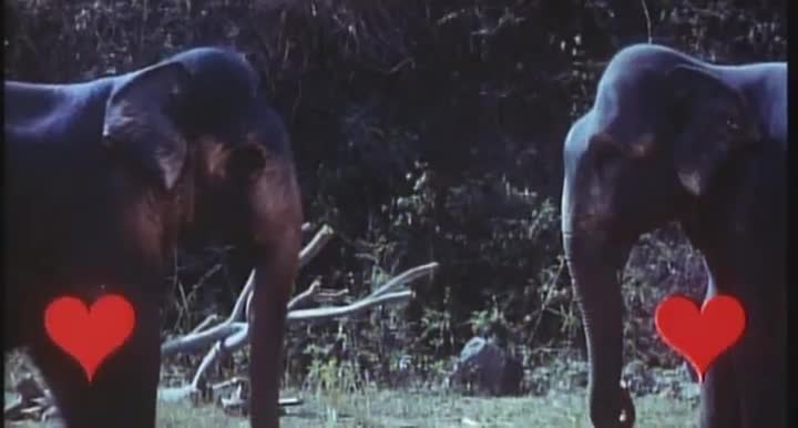 Extrait vidéo du film  Chambre à part