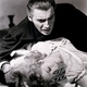 photo du film Dracula, prince des ténèbres