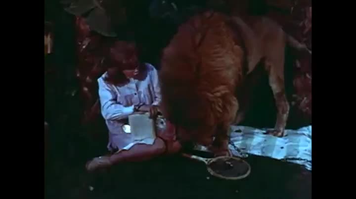 Extrait vidéo du film  Clarence, the Cross-Eyed Lion