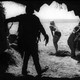 photo du film The Beach Girls and the Monster