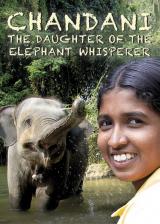 voir la fiche complète du film : Chandani : the daughter of the elephant whisperer