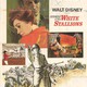 photo du film Miracle of the White Stallions