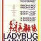 photo du film Ladybug Ladybug