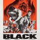 photo du film La Bagarre de la dernière chance