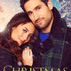 photo du film Un noël à croquer