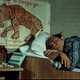 photo du film Polosatyy reys