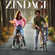 photo du film Dear zindagi