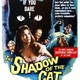 photo du film Le spectre du chat
