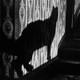 photo du film Le spectre du chat