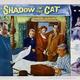 photo du film Le spectre du chat