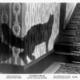 photo du film Le spectre du chat