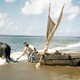 photo du film Les Robinsons des mers du Sud