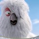 photo du film L'Envol de Ploé
