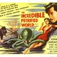 photo du film Le monde pétrifié