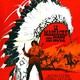 photo du film Le Massacre des Sioux