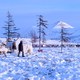 photo du film Enfances nomades