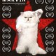 photo du film L'Affaire Marvin