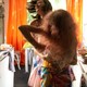 photo du film L'Oiseau de paradis