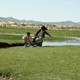 photo du film Desert Dream