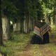 photo du film Un cœur simple